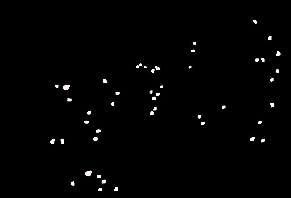 lam sí chapter 31 13