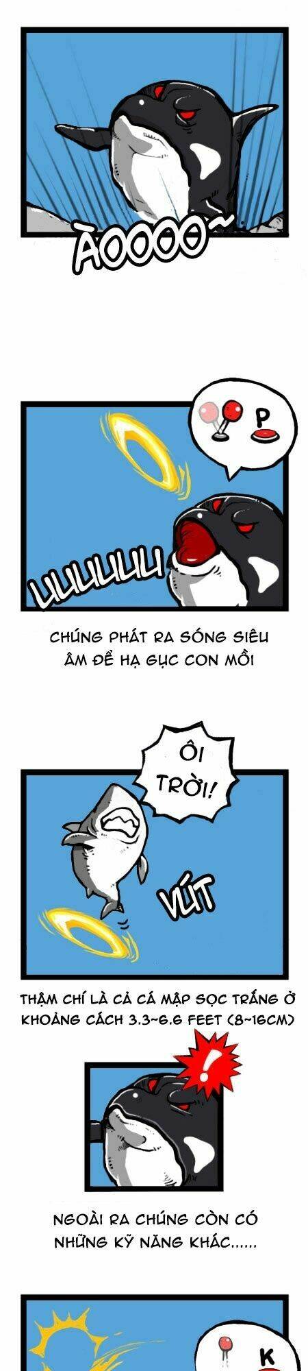 earth, human, and animal chapter 23 14