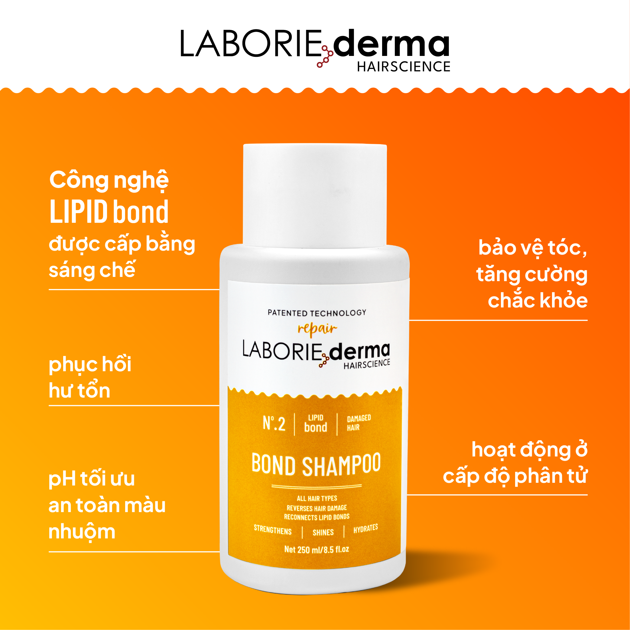 Dầu gội hỗ trợ phục hồi, tăng cường chắc khỏe tóc LABORIE derma Bond Shampoo 250ml