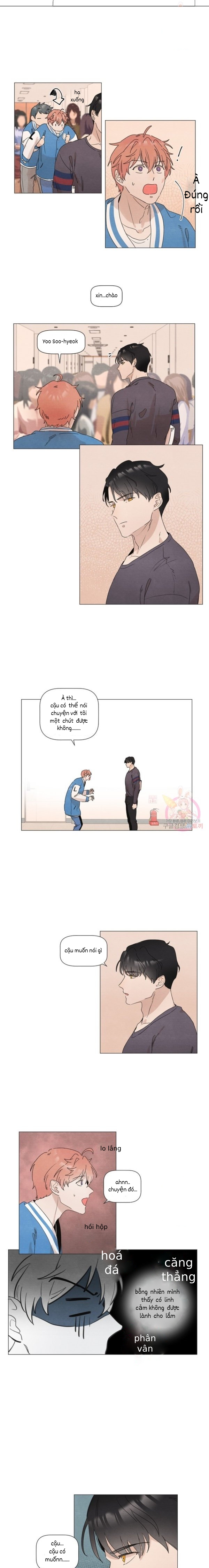 Vì Chúng Ta Là Một Đôi (Manhwa) chapter 2