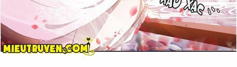 nhất sinh nhất thế mỹ nhân cốt chapter 1 7