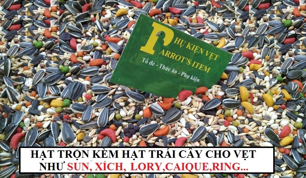 500G HẠT TRỘN KÈM HẠT TRÁI CÂY CHO VẸT LORY, CAIQUE, SUN, XÍCH, RING,AMAZON,HAHN MACAW