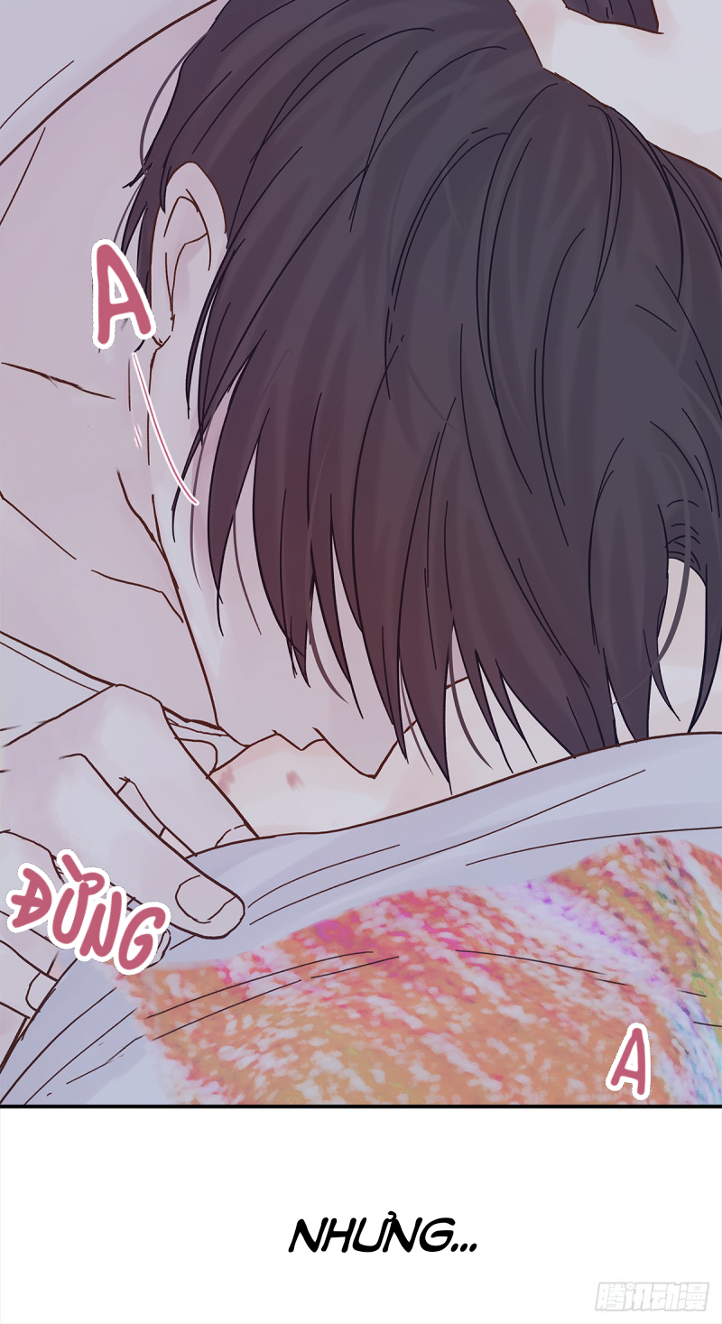 mối tình đầu gian nan của chu thành nhất chapter 42 40