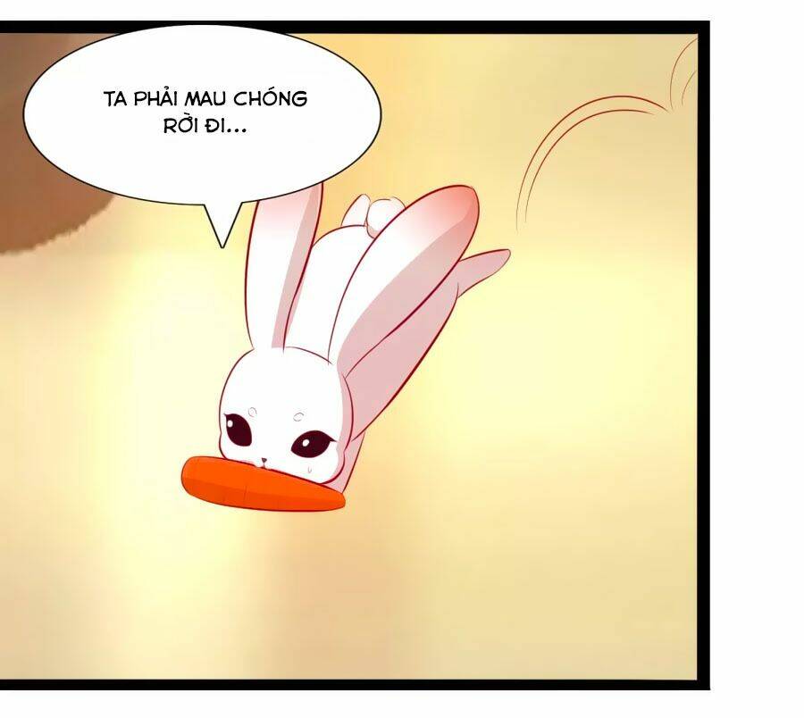 thỏ yêu tiểu vương phi chapter 50 6