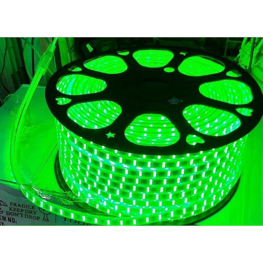 Combo 10m đèn led dây 2835 2 hàng bóng điện 220V sử dụng ngoài trời, trang trí quán cà phê