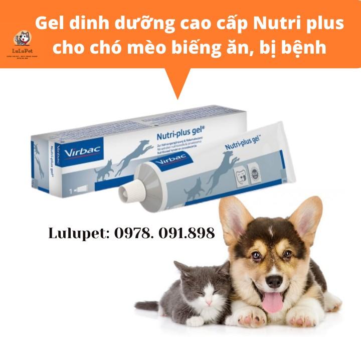 Gel dinh dưỡng dành cho chó mèo Nutri Plus Gel Virbac/ Thức Ăn Thú Cưng