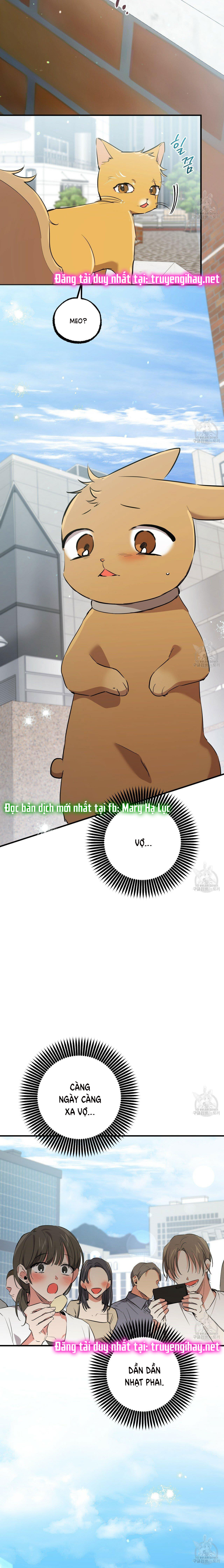 những chú thỏ của hapypy chapter 48 7