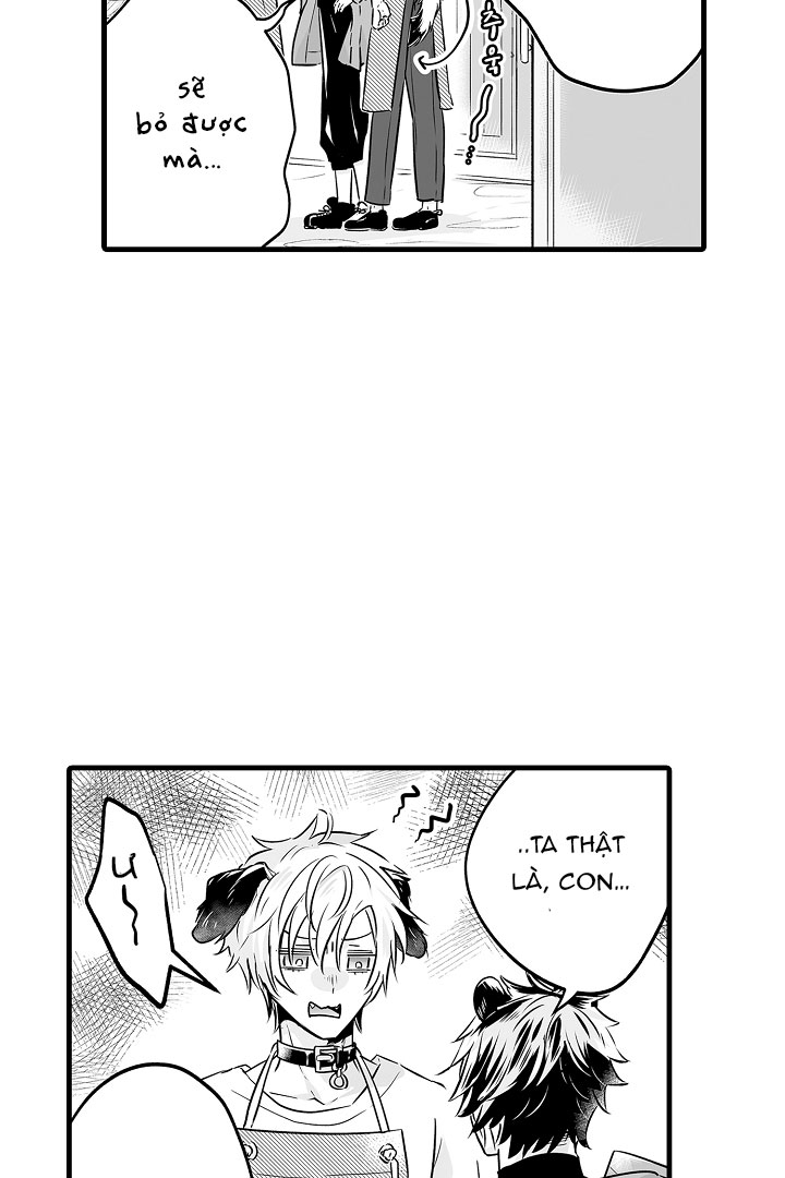 gấu ngủ đông chapter 12.2 15