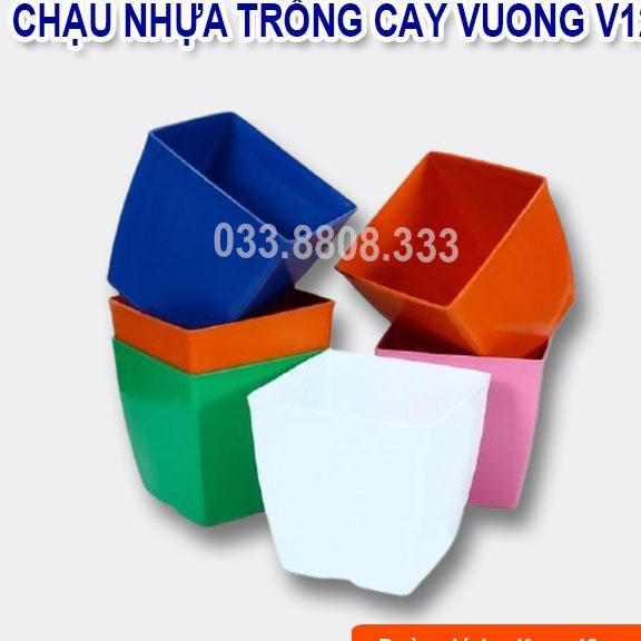 10 CHẬU NHỰA V12 MÀU BẤT KÌ- CHẬU BỀN ĐẸP BỀN