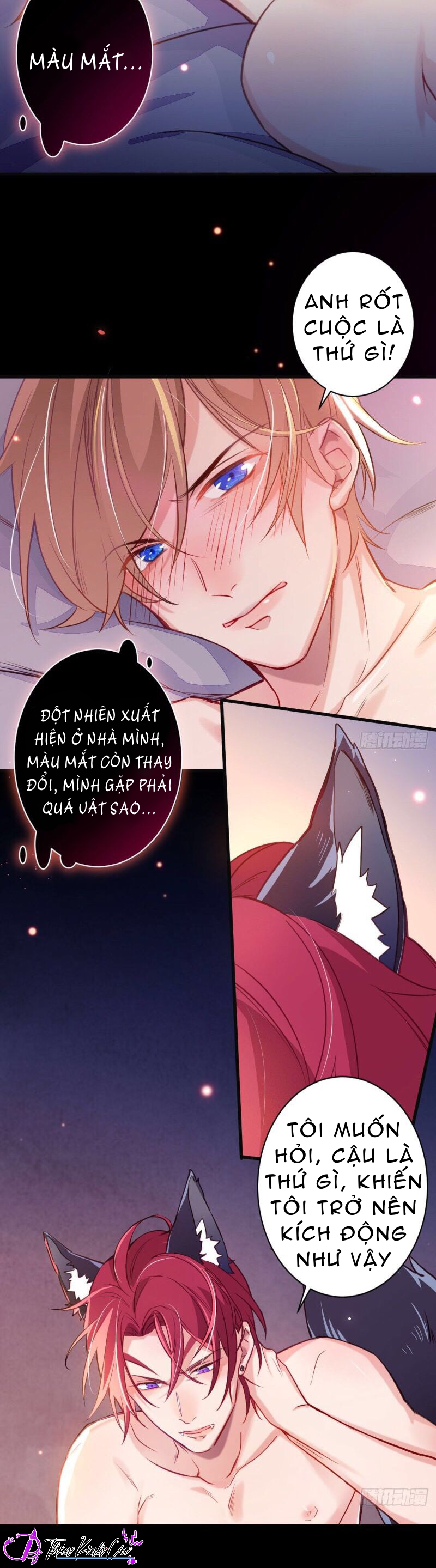 sói vương không thể được chapter 2 28