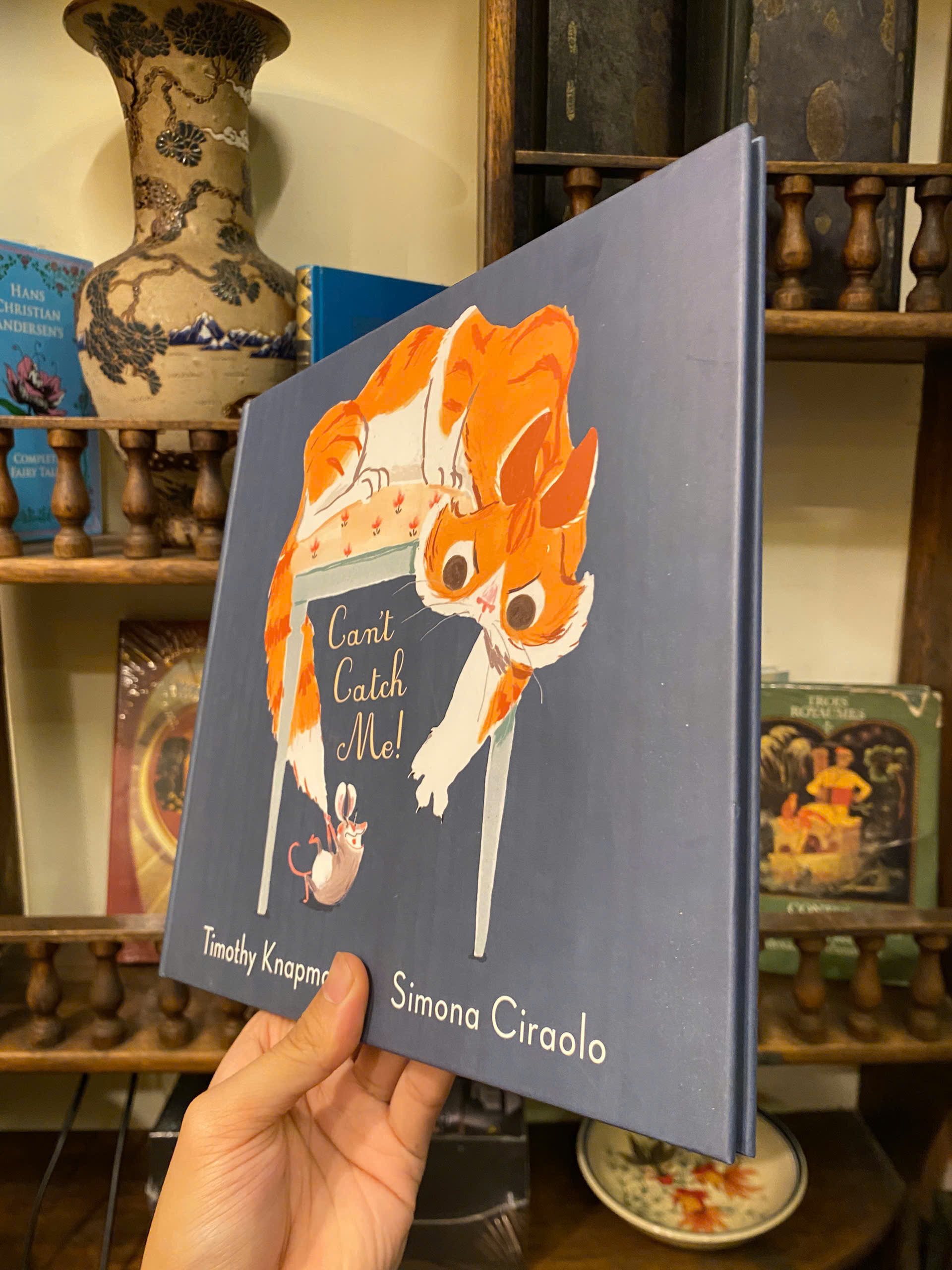 Sách - Can't Catch Me! by Timothy Knapman | English Children's Picture Book | Sách bìa cứng