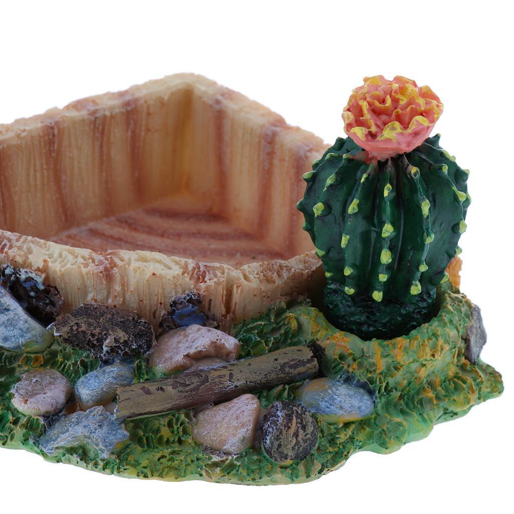 Reptile Feeding Bowl Dish Terrarium Drinking Basin 1