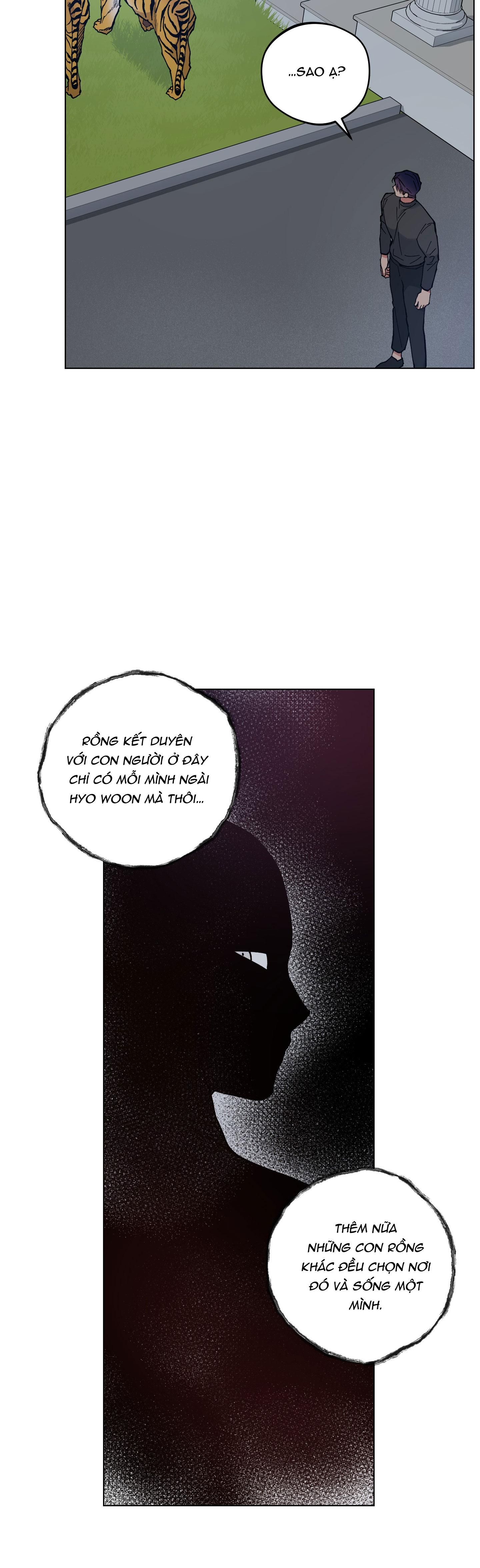 bình minh của rồng chapter 31 28