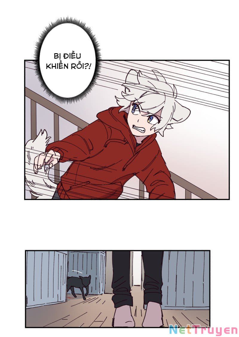 lumine - cội nguồn ánh sáng chapter 87 27