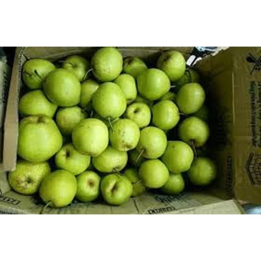 Cây giống Lê xanh VH6 - chuẩn hàng F1