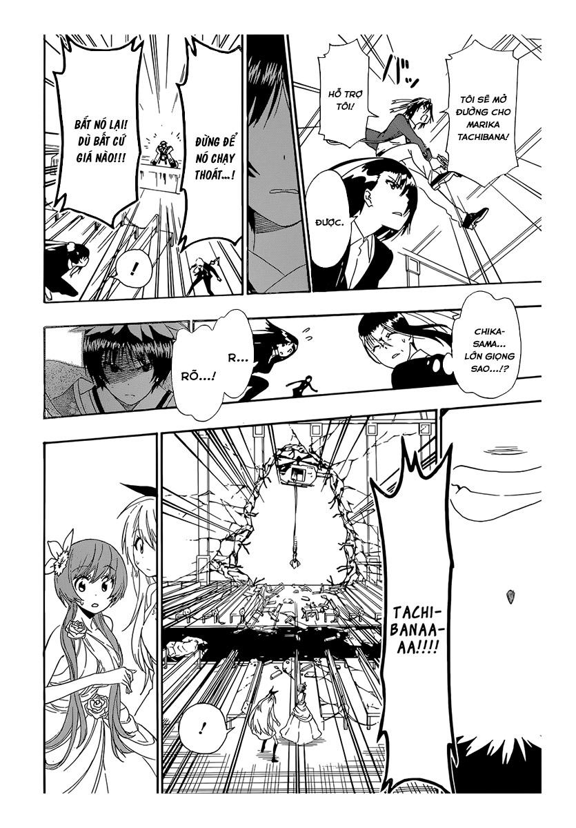 nisekoi - tình yêu giả tạo chapter 193 13