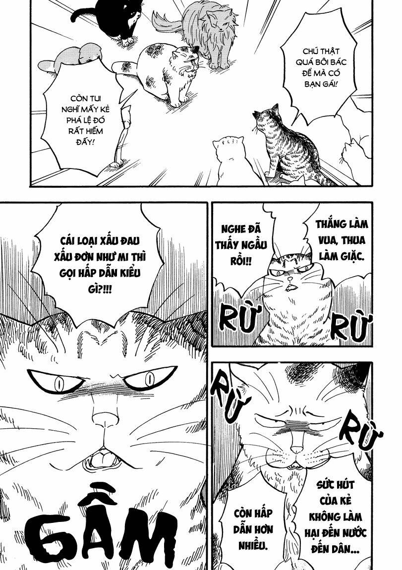 tui là busamen! chapter 7 12