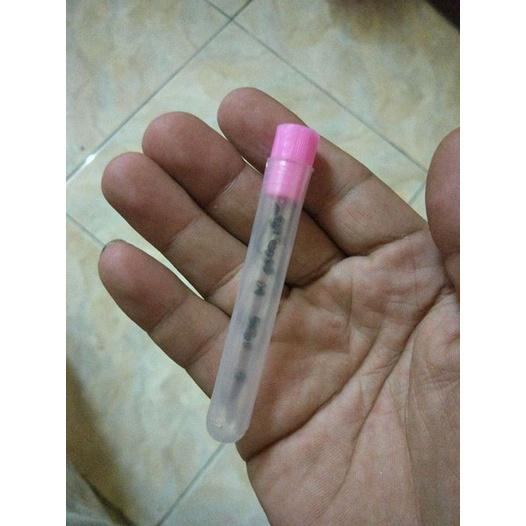 Hạt giống hoa xương rồng gấm mix màu KNS3545 - Gói 20 hạt