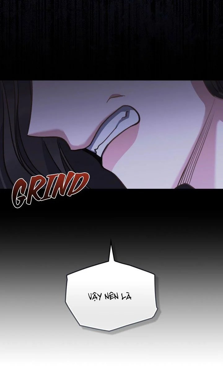 kẻ nghiệp dư chapter 17.5 2
