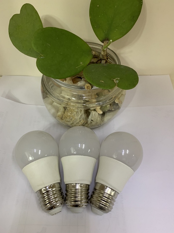 Bóng Bulb nấm - RB LIGHTING