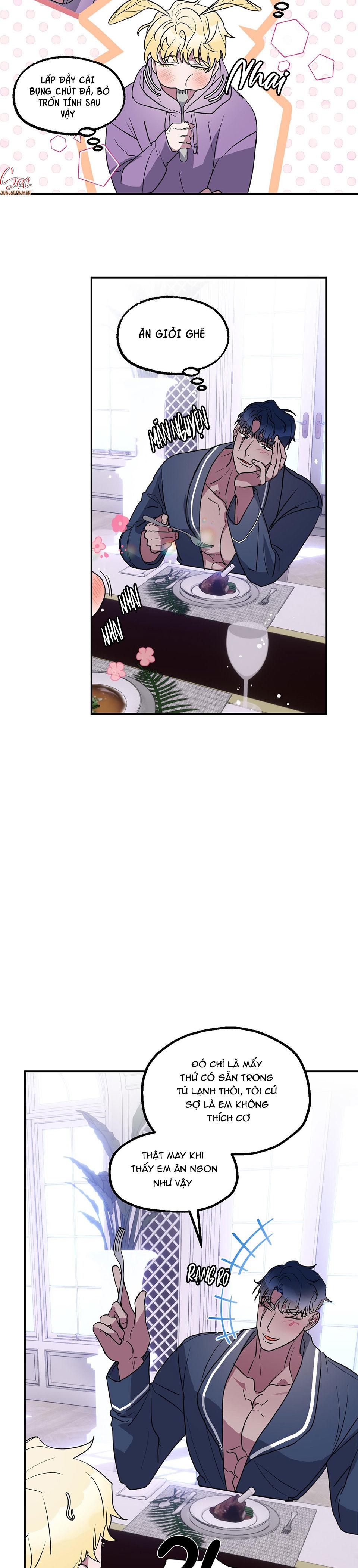 cá mập và cô dâu thỏ chapter 5 3