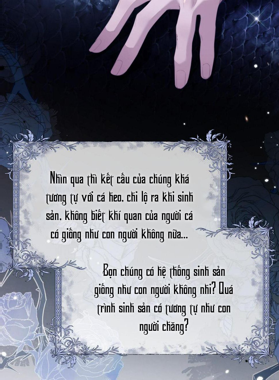 người cá desahrow chapter 1 34