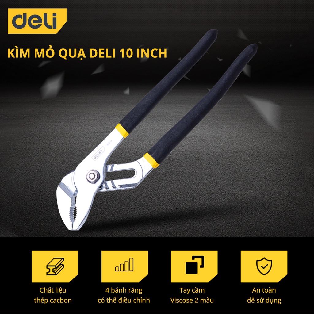 Kìm Mỏ Quạ Deli 10 Inch Cao Cấp - Giúp Giữ, Kẹp, Cắt Vật Dụng, Dành Cho Thợ Điện Nước Chuyên Nghiệp - DL2610