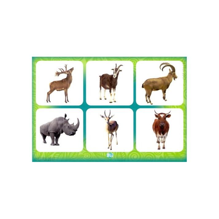 Sách ngoại văn: ELI Language Games - The Animal Kingdom