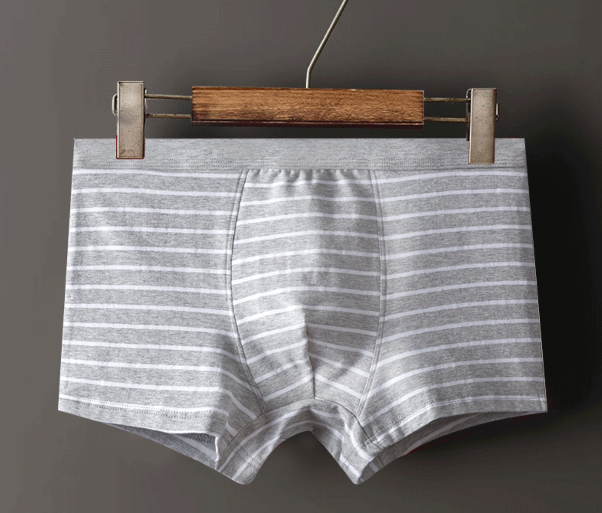 COMBO 4 quần lót nam cao cấp chất cotton kẻ ngang trẻ trung QA389
