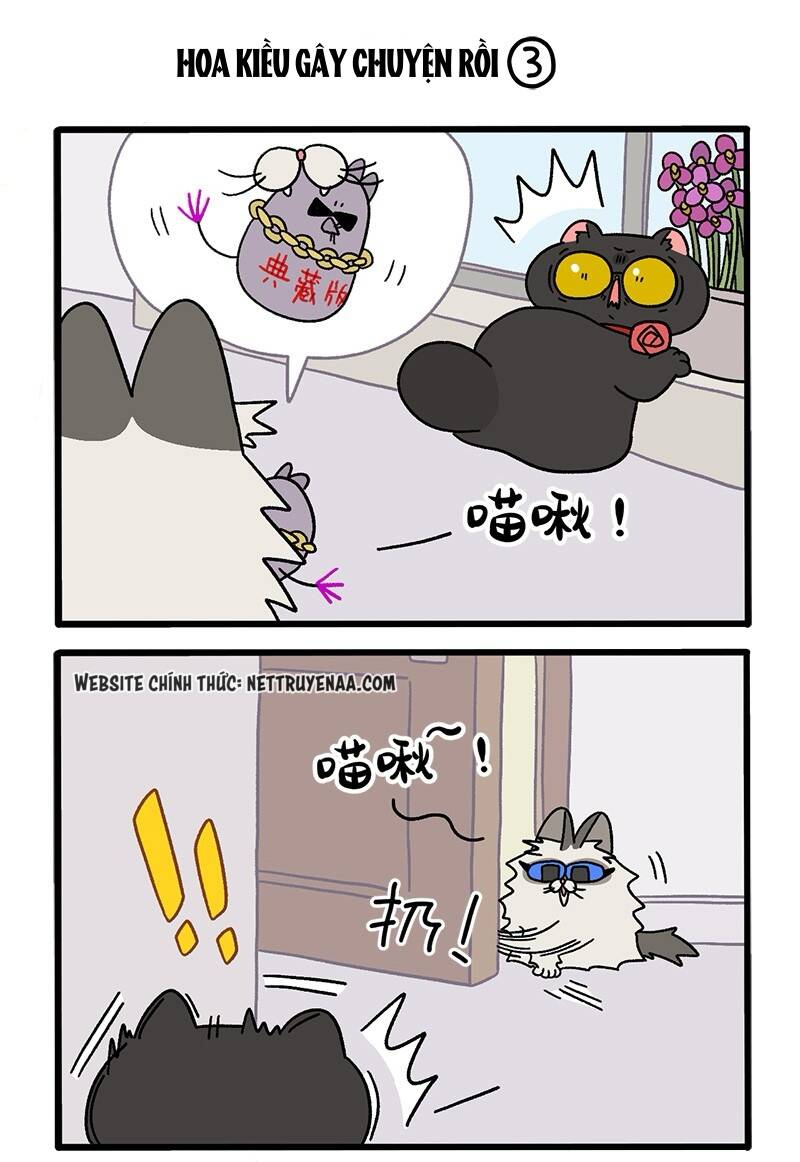 a mãn và mạch trà chapter 36 5