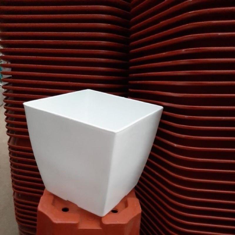 Chậu nhựa vuông trồng hoa cây cảnh văn phòng V20, chậu vuông màu trắng hàng loại 1 dày đẹp, KT 20x20x20cm.