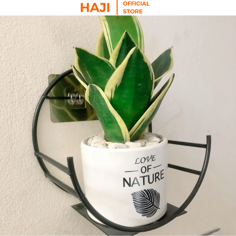 Kệ treo tường bán nguyệt dán tường được xem là đồ nội thất decor nhà cửa xinh xắn thương hiệu HAJI NA16