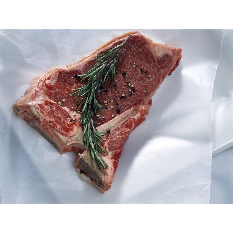 Cây hương thảo - Rosemary size trung - cây gia vị với hương thơm dịu nhẹ, vừa đuổi muỗi lại giúp thư giãn
