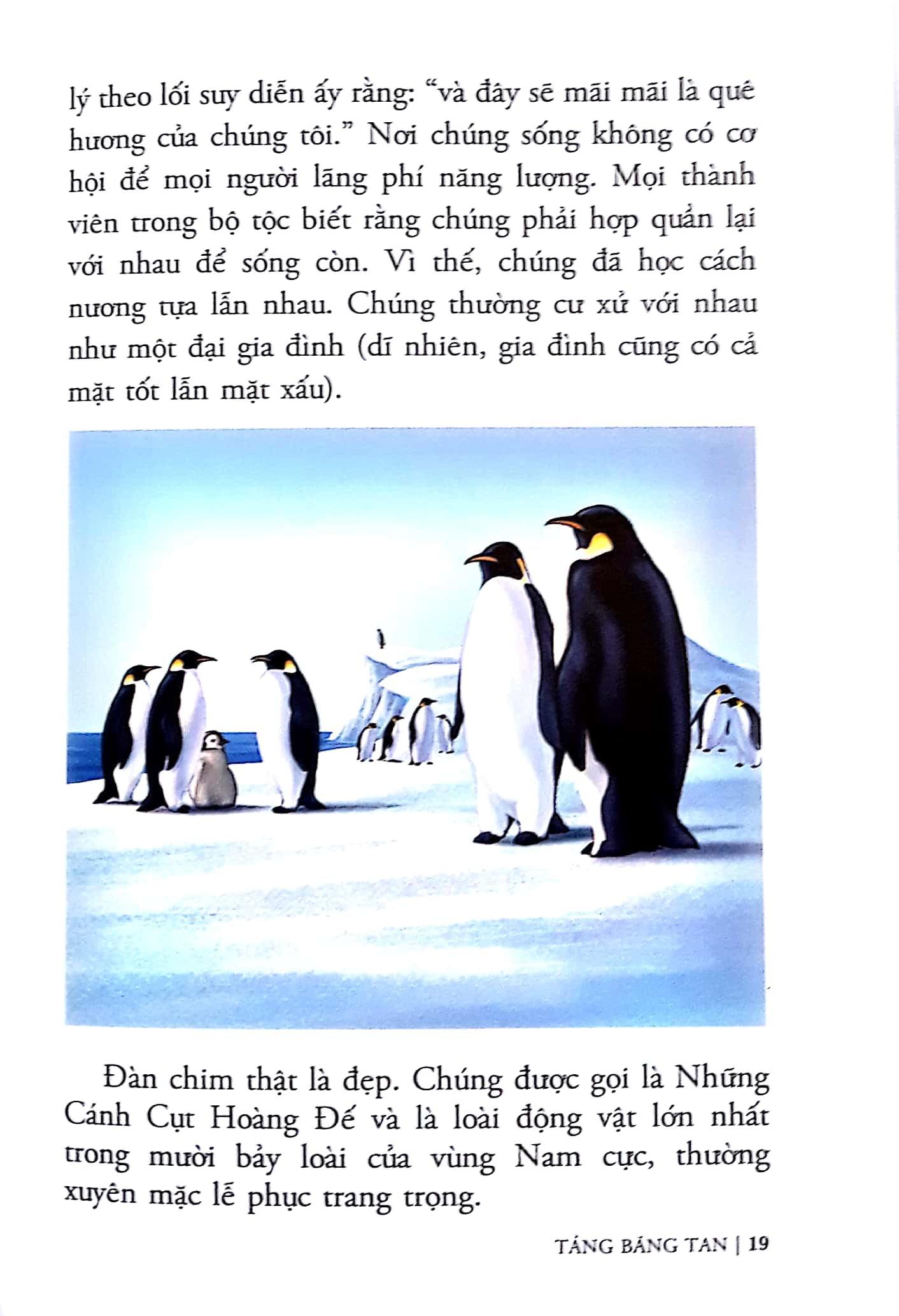 Tảng Băng Tan (Sách Tái Bản 2017)