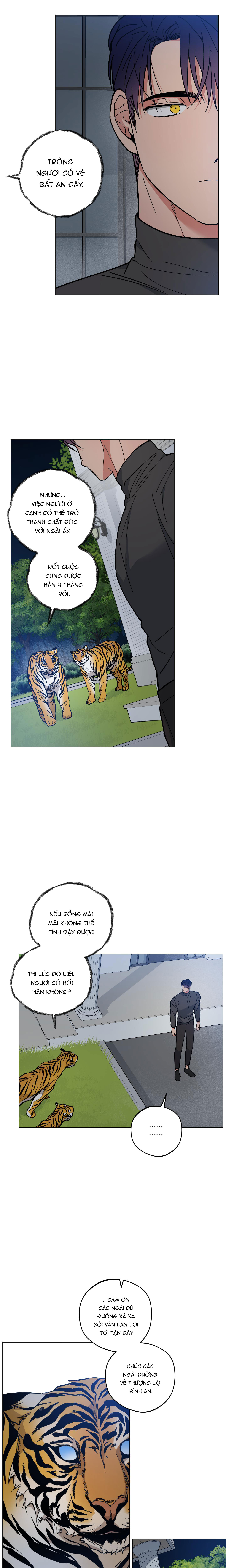 bình minh trên sông mây chapter 31 9