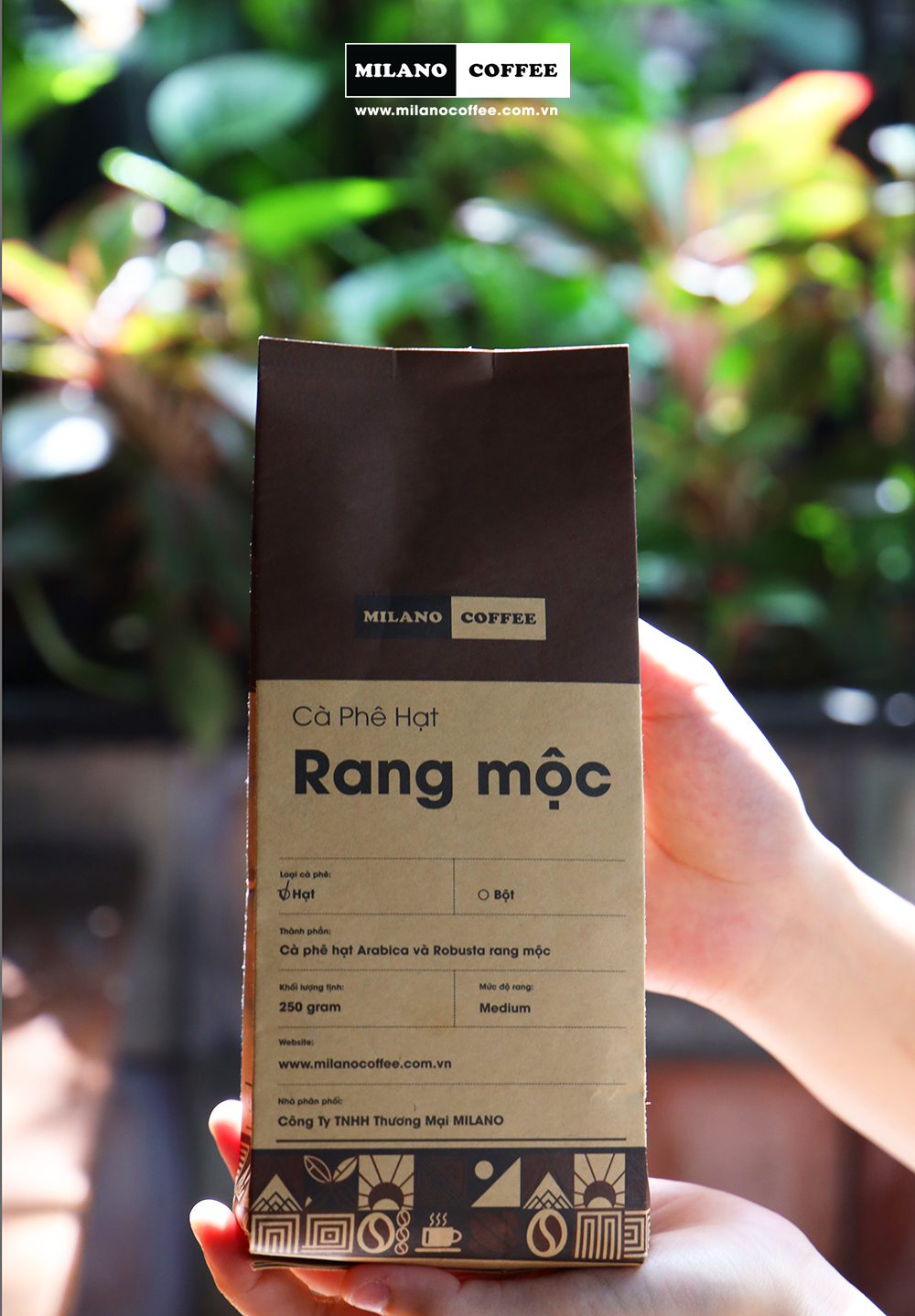 Cà phê hạt RANG MỘC NGUYÊN CHẤT 100% MILANO COFFEE 250gr