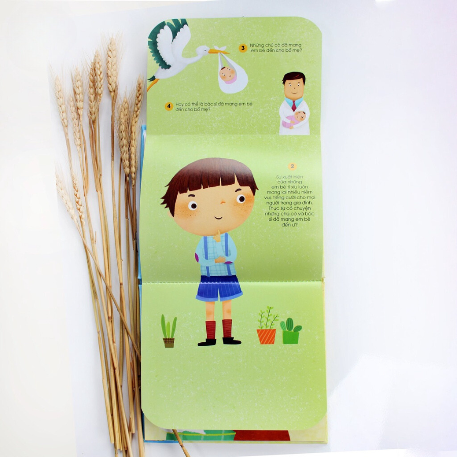 Lật Mở Cùng Con - Con Từ Đâu Tới? (Giúp Trẻ Nhận Biết Quá Trình Hình Thành Và Ra Đời Của Một Em Bé)