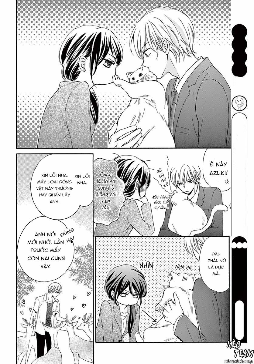 vị hôn phu bất đắc dĩ chapter 9 14