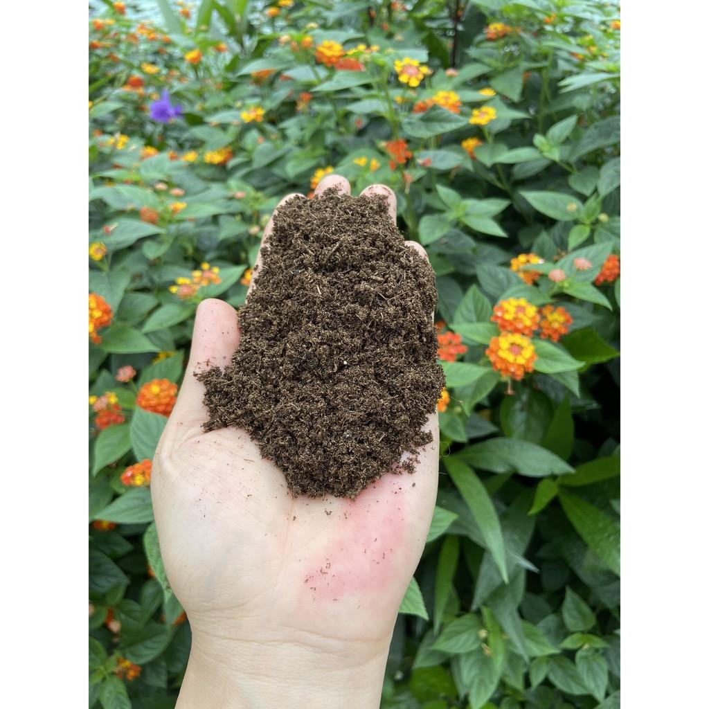 Peatmoss Hà Nội Chất mùn hữu cơ cao cấp duy trì độ ẩm cho cây tiểu cảnh, bán cạn, trồng lan, sen đá và reo hạt giống
