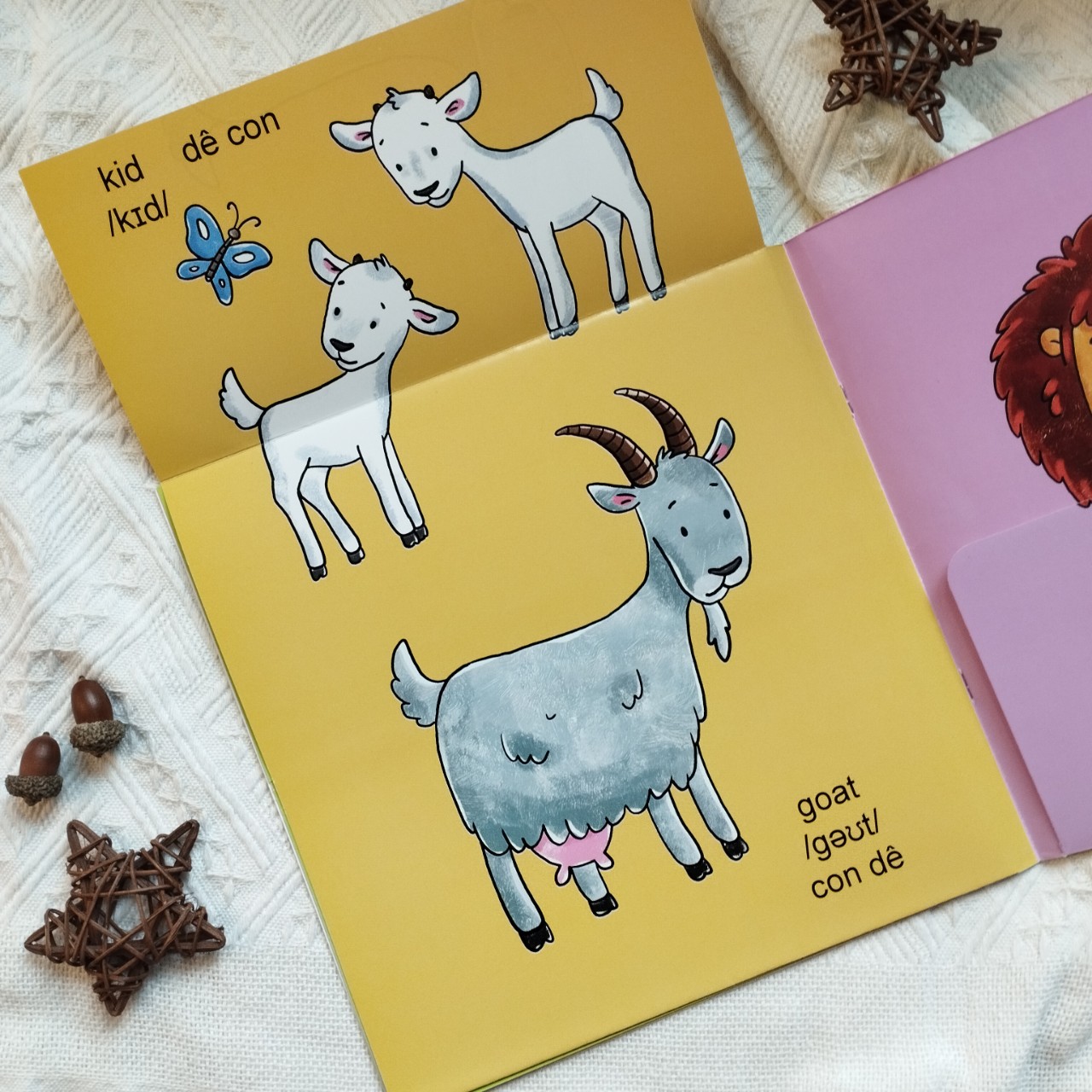 Sách lật mở khám phá - Động vật trưởng thành và con non