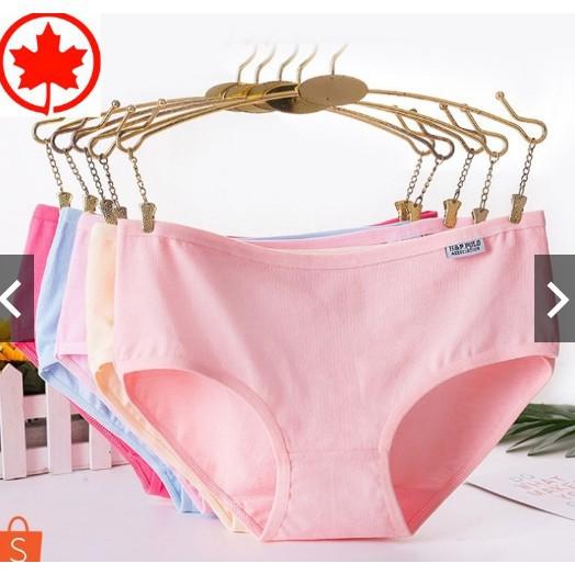Combo 10 quần chip 100% cotton thoáng mát thấm hút mồ hôi