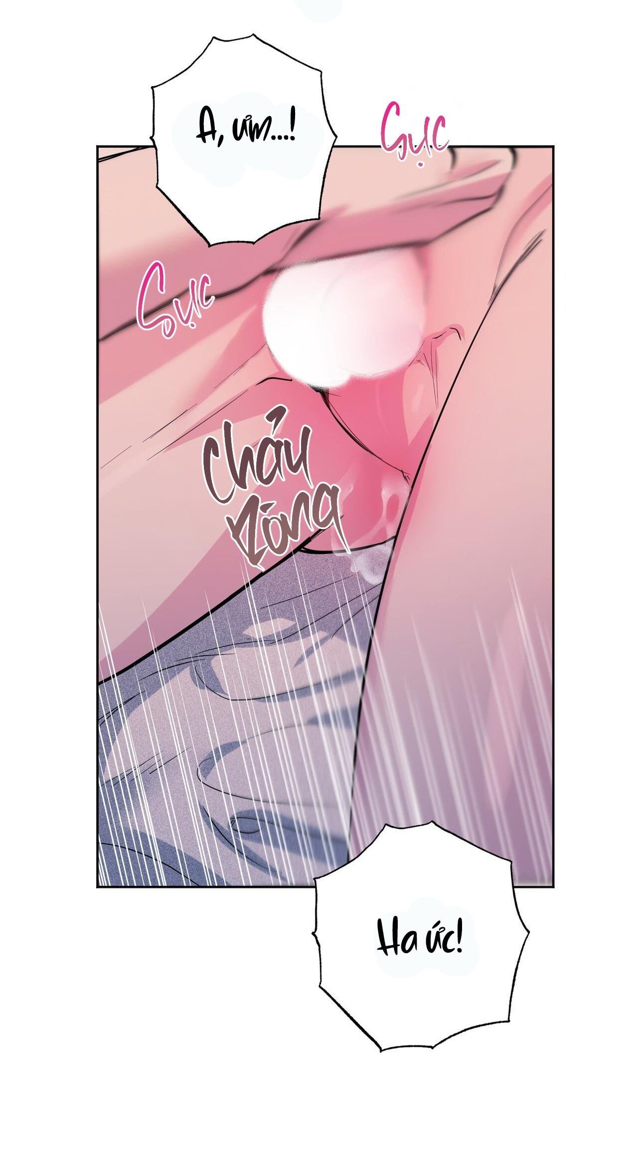 cạm bẫy đại học chapter 94 16
