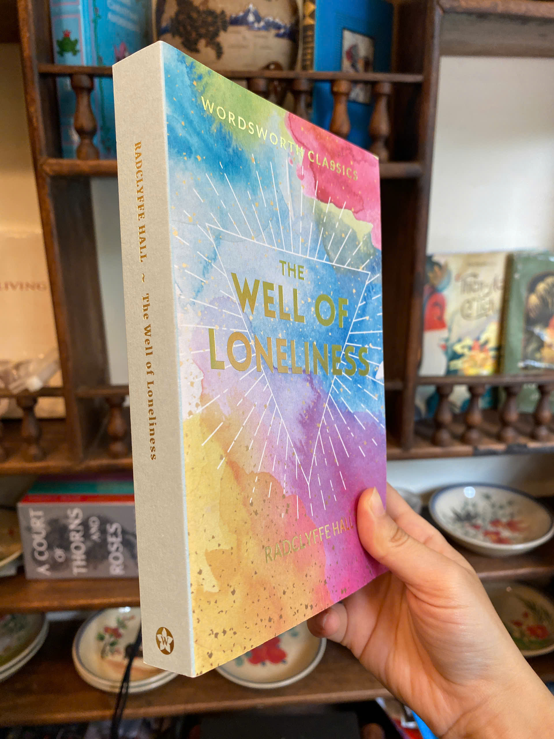 Sách - The Well of Loneliness (Wordsworth Classics) by Radclyffe Hall | English Romance Book