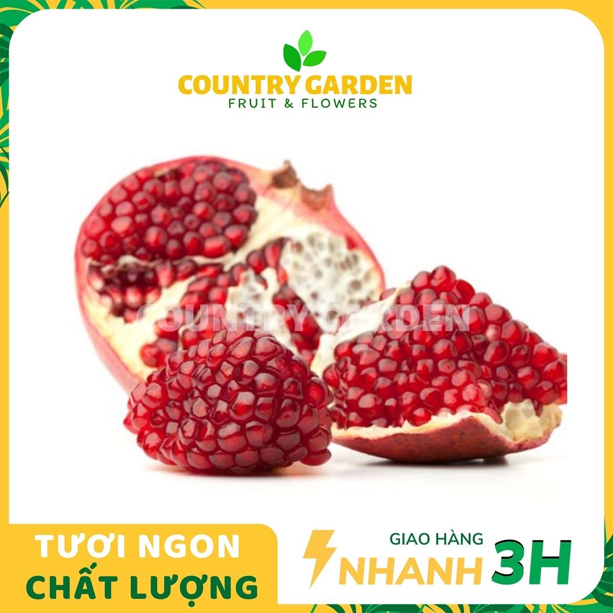 – Lựu Peru  - Trái To Tròn, Màu Đỏ Thẫm, Vị Ngọt Thơm