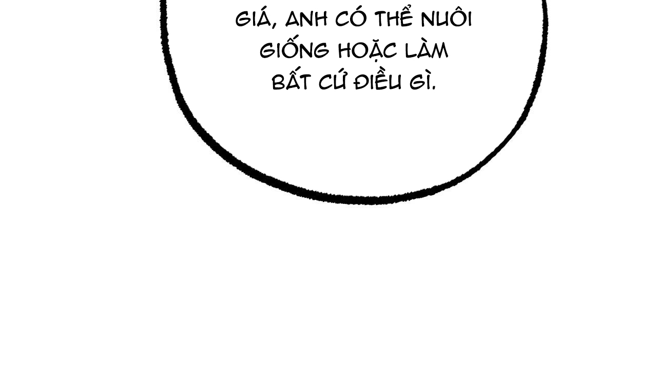 đàn thỏ của habibi chapter 44 211