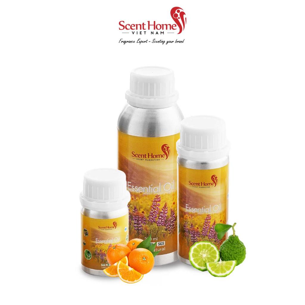 Tinh dầu Scent Homes - mùi hương (Orange Blossom & Bergamot)