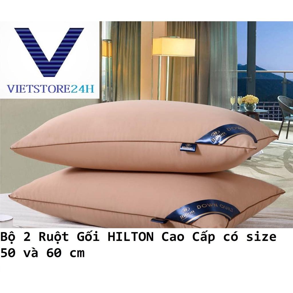 Bộ 2 Ruột Gối HILTON Cao Cấp - Giao Màu Ngẫu Nhiên