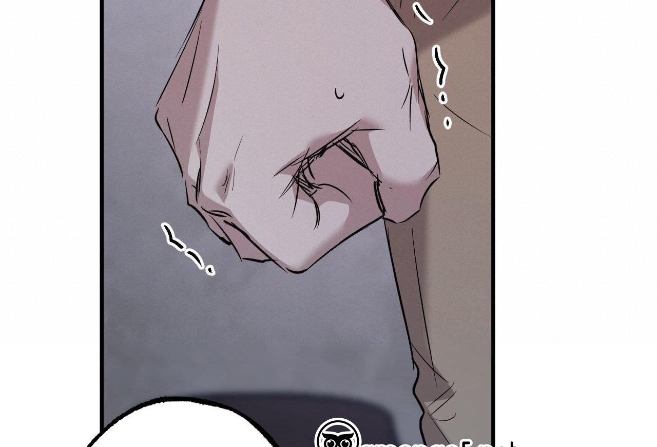 những chú thỏ của hapypy chapter 59 175