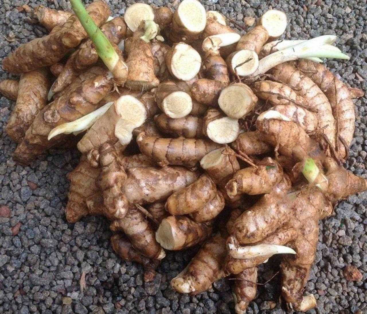 Củ Nghệ Trắng khô sắt lát 1kg