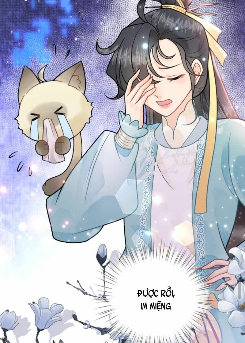 toàn tông môn đều là kẻ si tình, chỉ có ta là tỉnh táo chapter 63 4